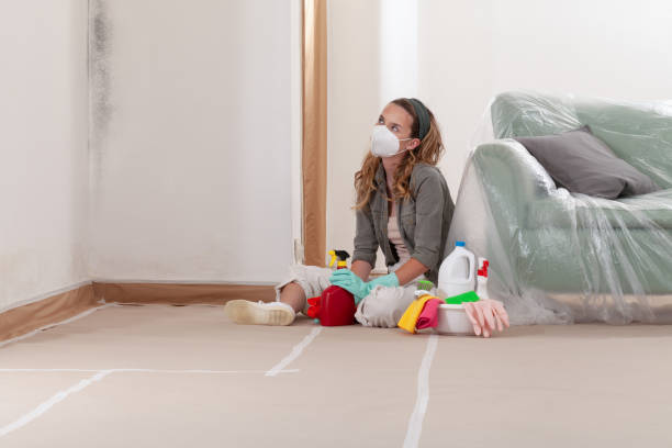 Reliable Mold Remediation contractor in Dunn, NC by Mold Remediation HQ